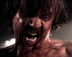 A Serbian Film, en DVD por Vial of&nbsp;Delicatessens