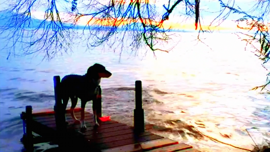 Una imagen de Adieu au Langage 3D