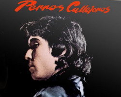 La trilogía de Perros callejeros, en Blu-ray y DVD por Ediciones&nbsp;79