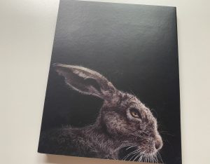 Contraportada digipack UHD The Witch