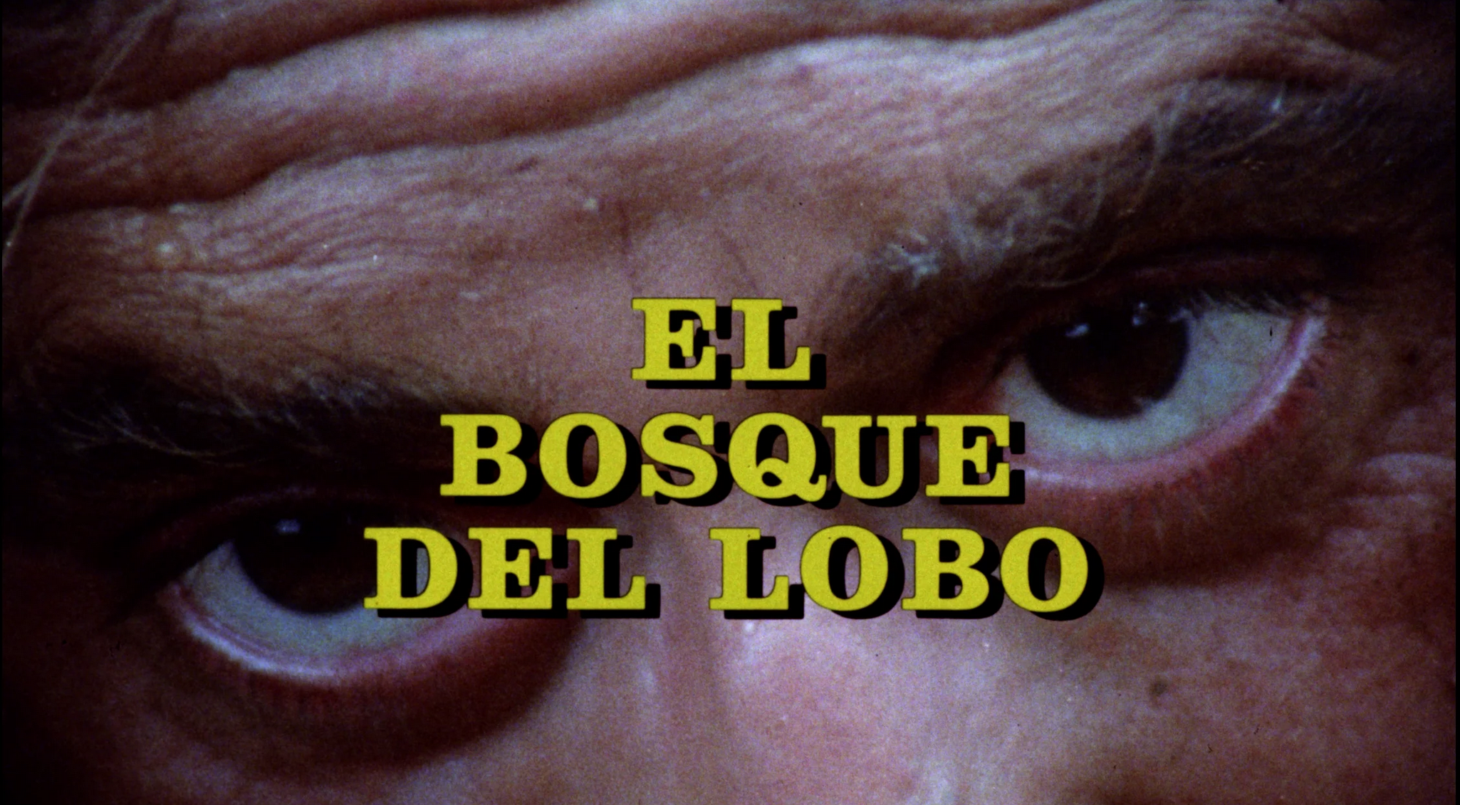 Imagen con el título de El bosque del lobo, de Pedro Olea