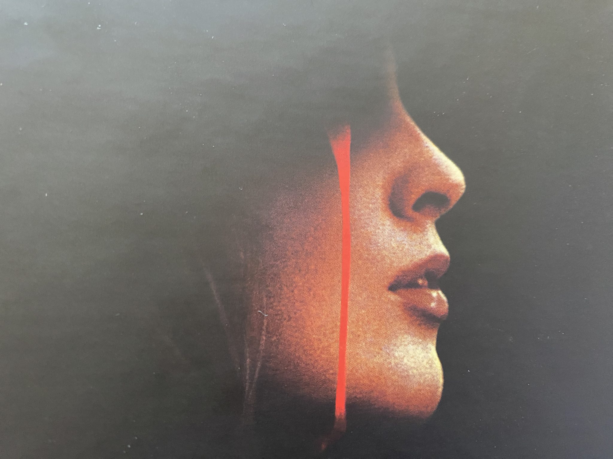 Messiah of Evil Limited Edition box back detail