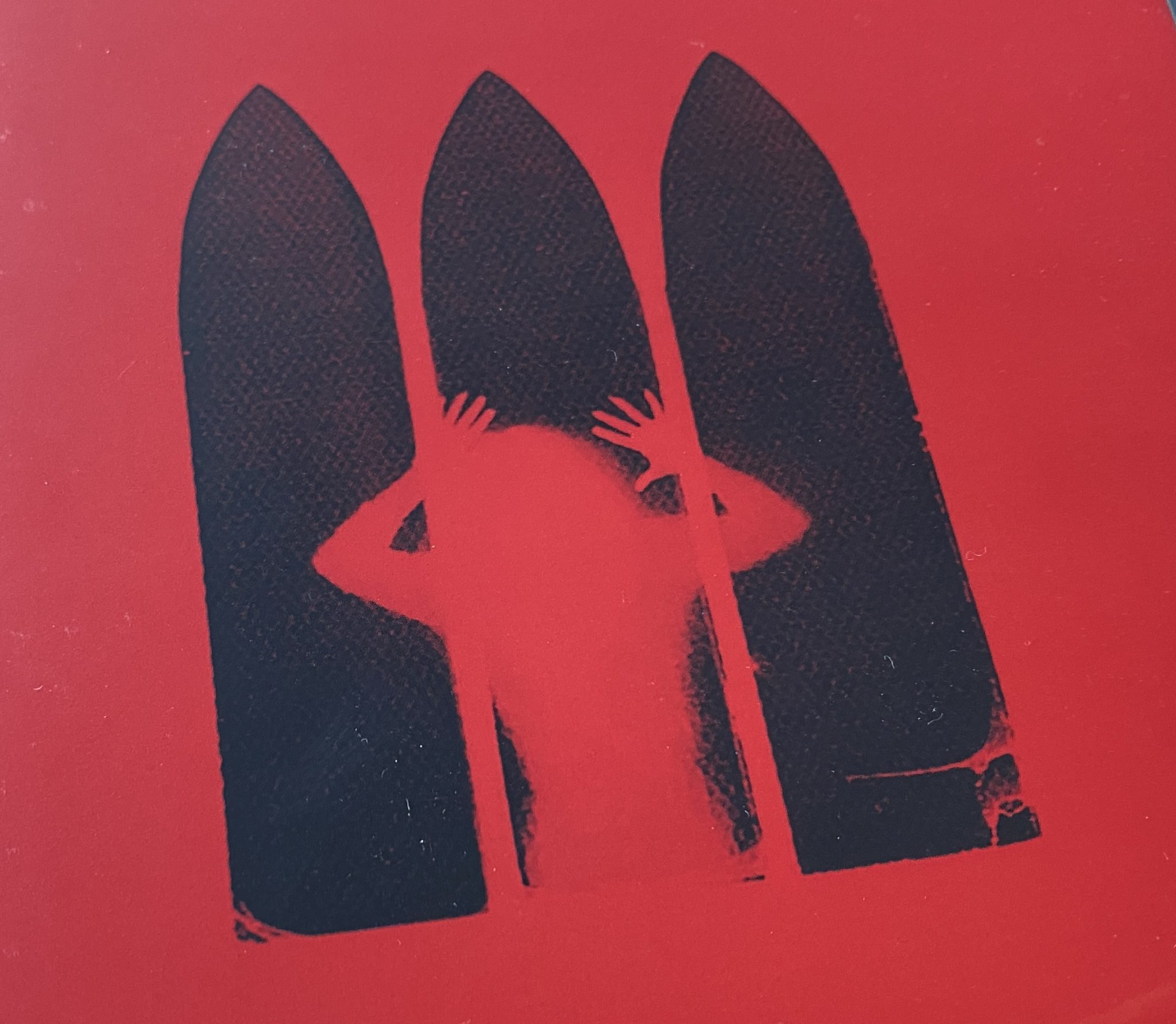 Messiah of Evil Limited Edition box amaray cover detail