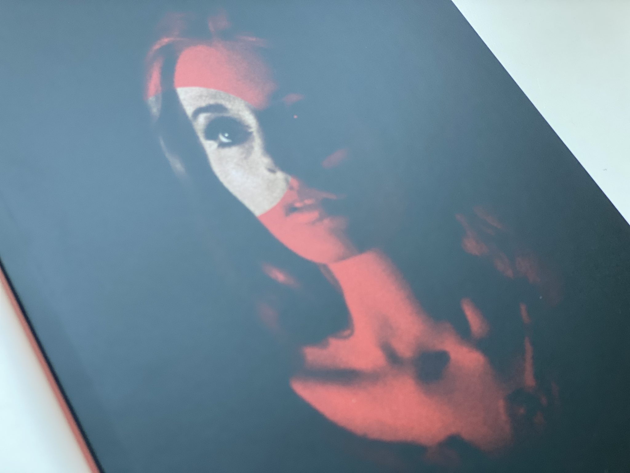 Messiah of Evil Limited Edition box book cover detail