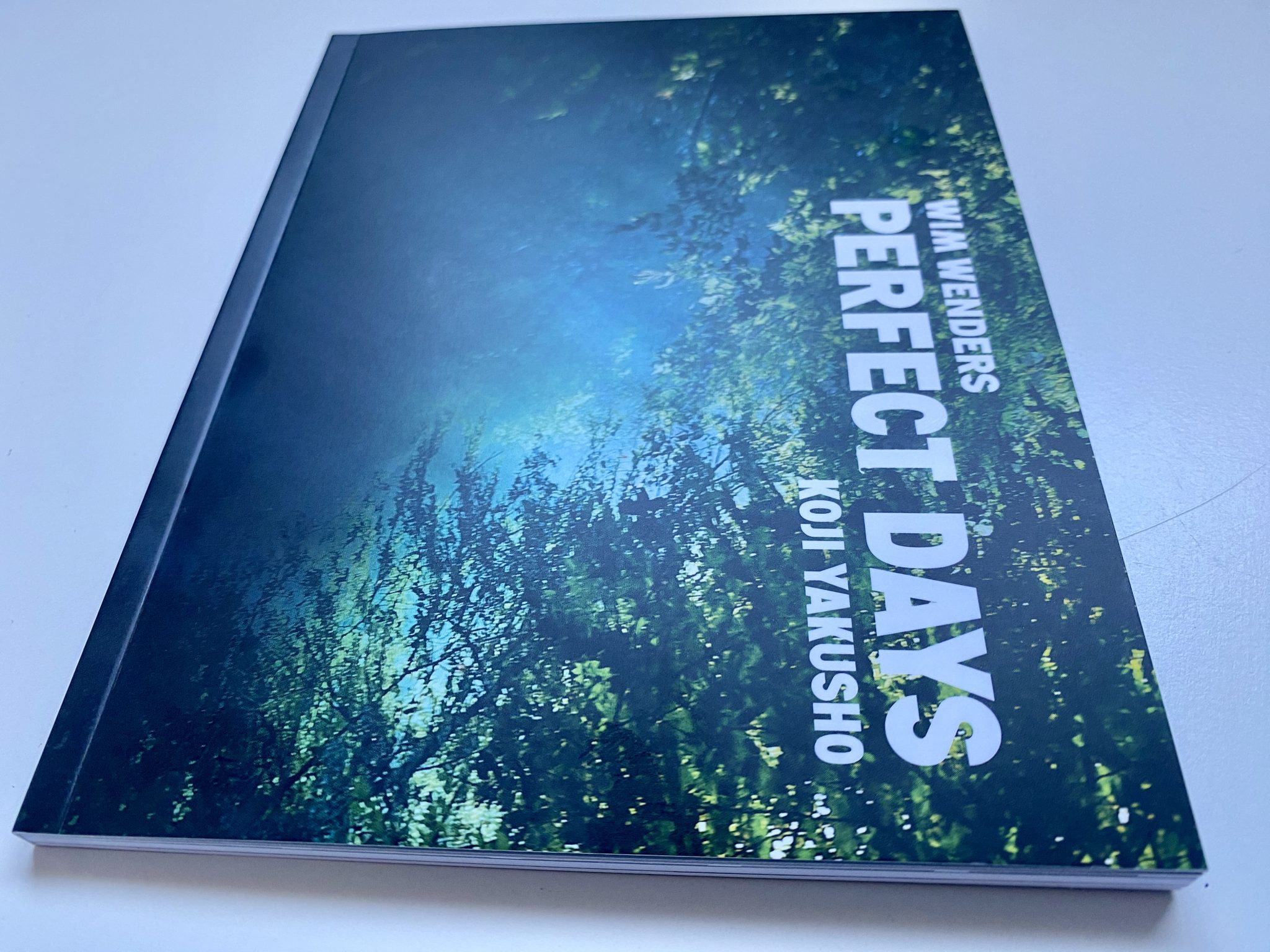 Perfect Days Blu-ray portada libro