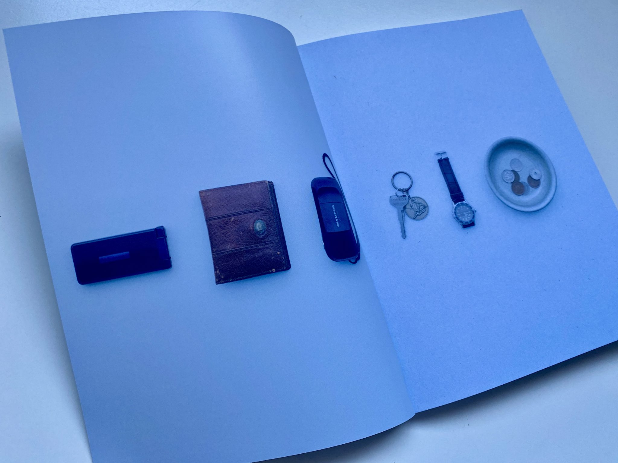 Perfect Days Blu-ray interior libro 1