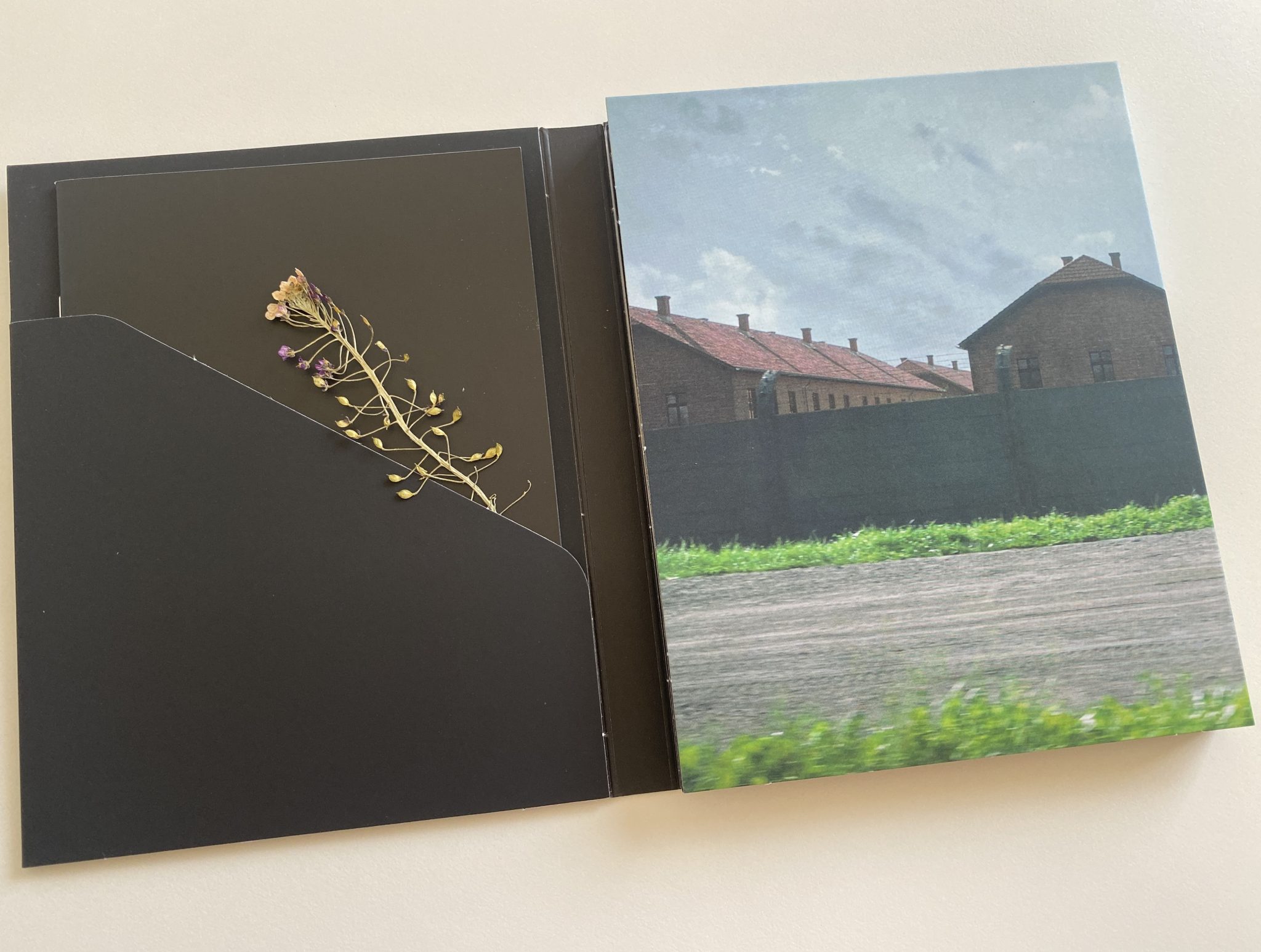 La zona de interés Blu-ray solapa interior digipack