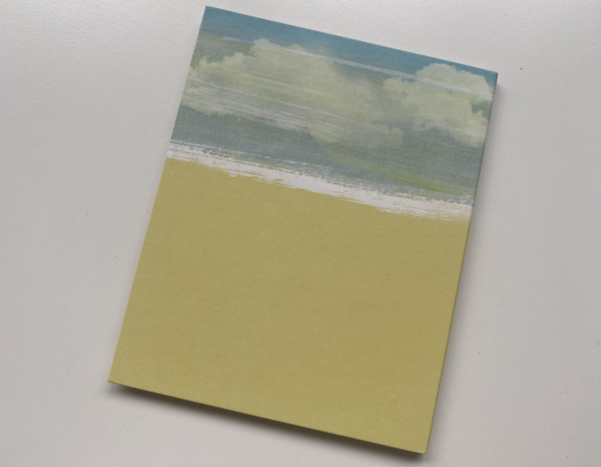 Perro ladrador, poco mordedor digipack contraportada