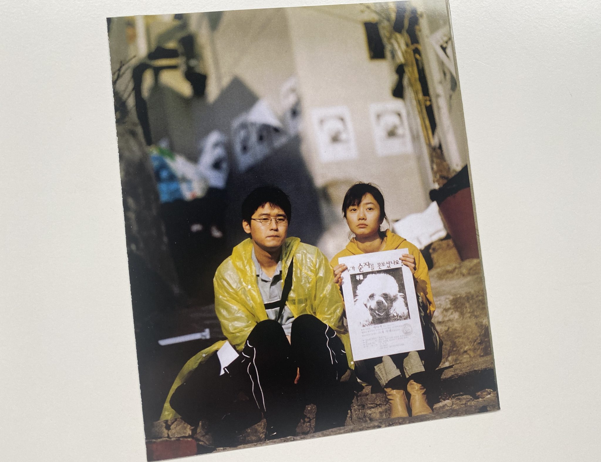 Perro ladrador, poco mordedor portada tríptico