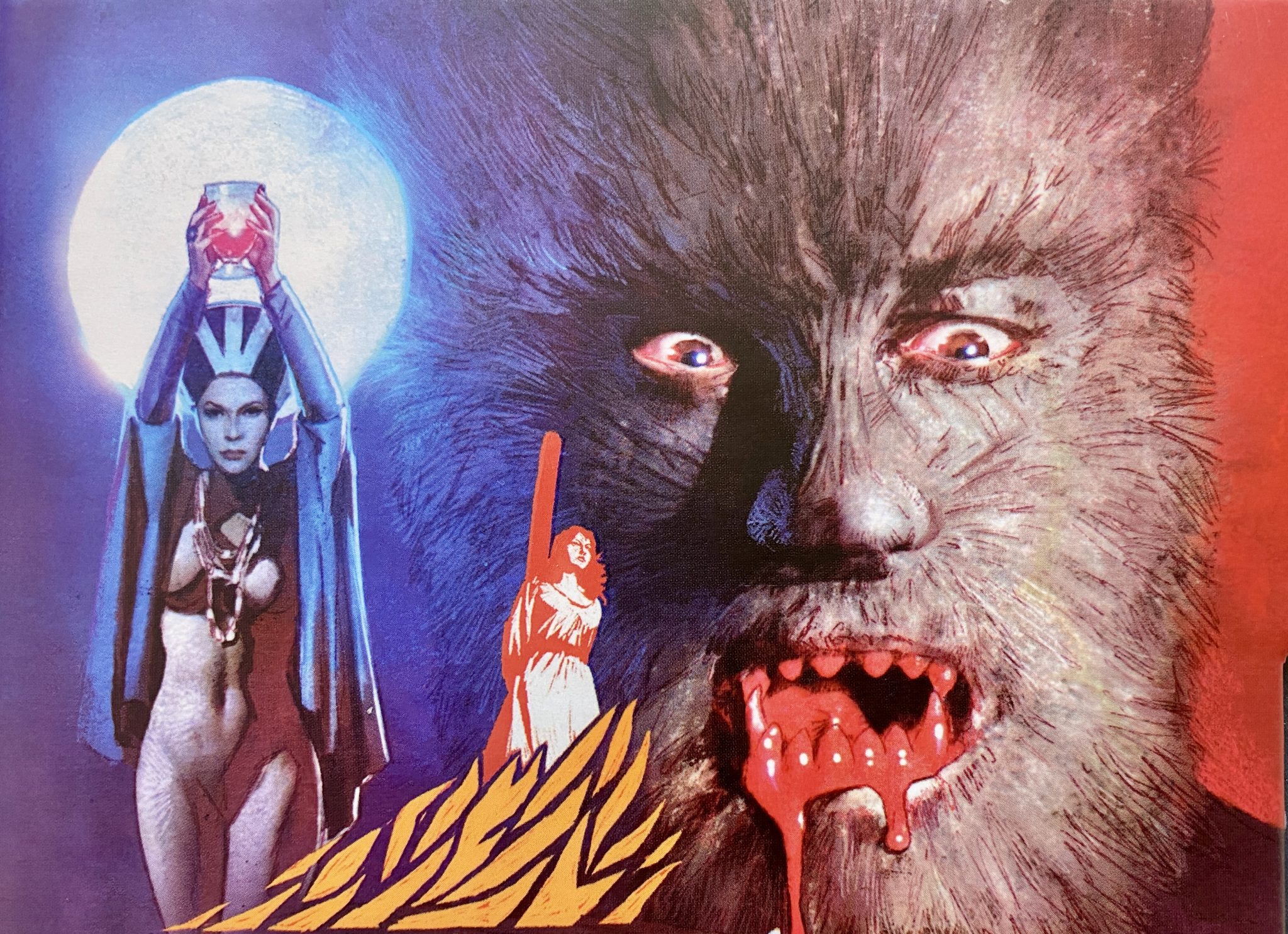 Pack Blu-ray Fantaterror Español por Vinegar Syndrome - detalle portada slipbox