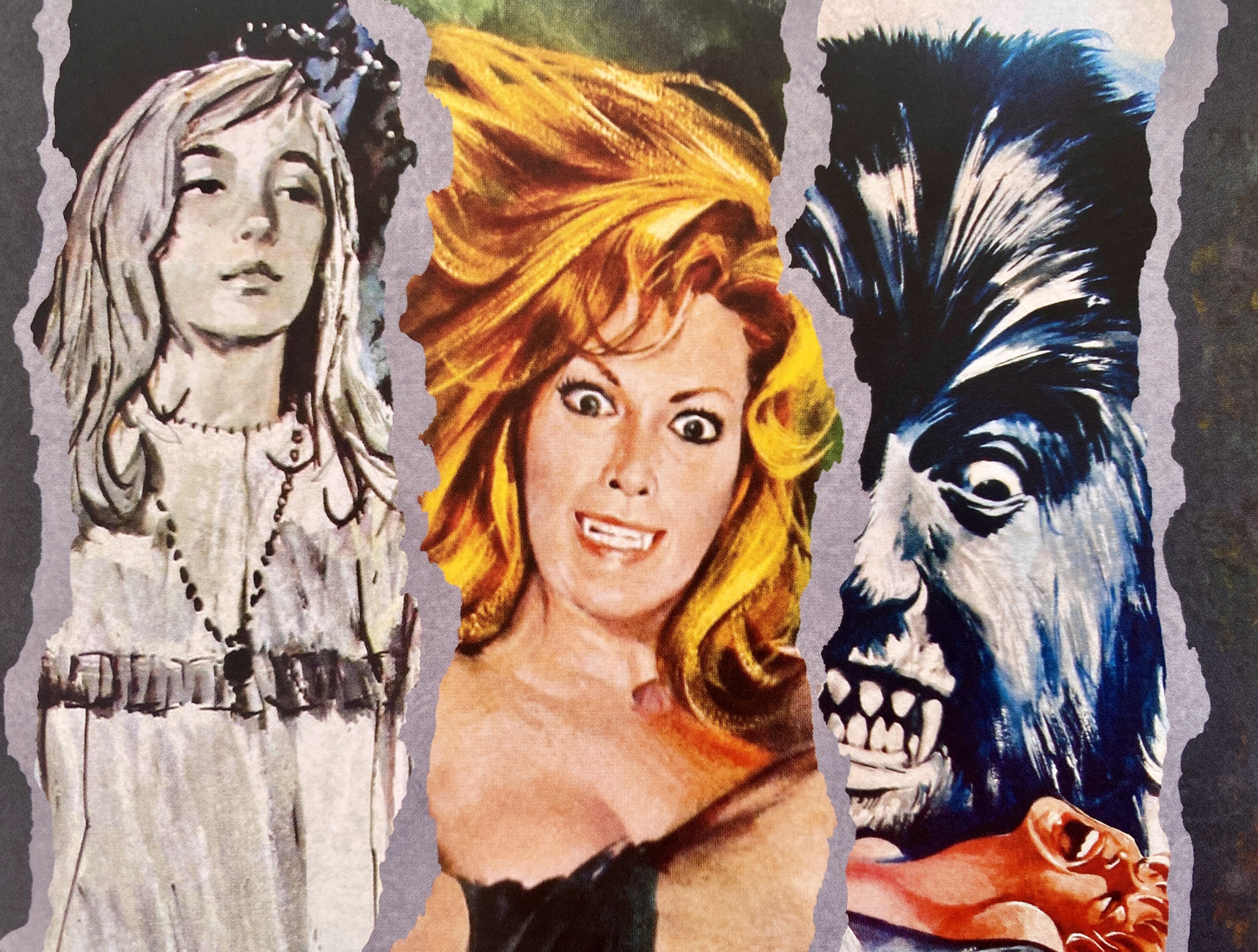 Pack Blu-ray Fantaterror Español por Vinegar Syndrome - detalle portada slipcover