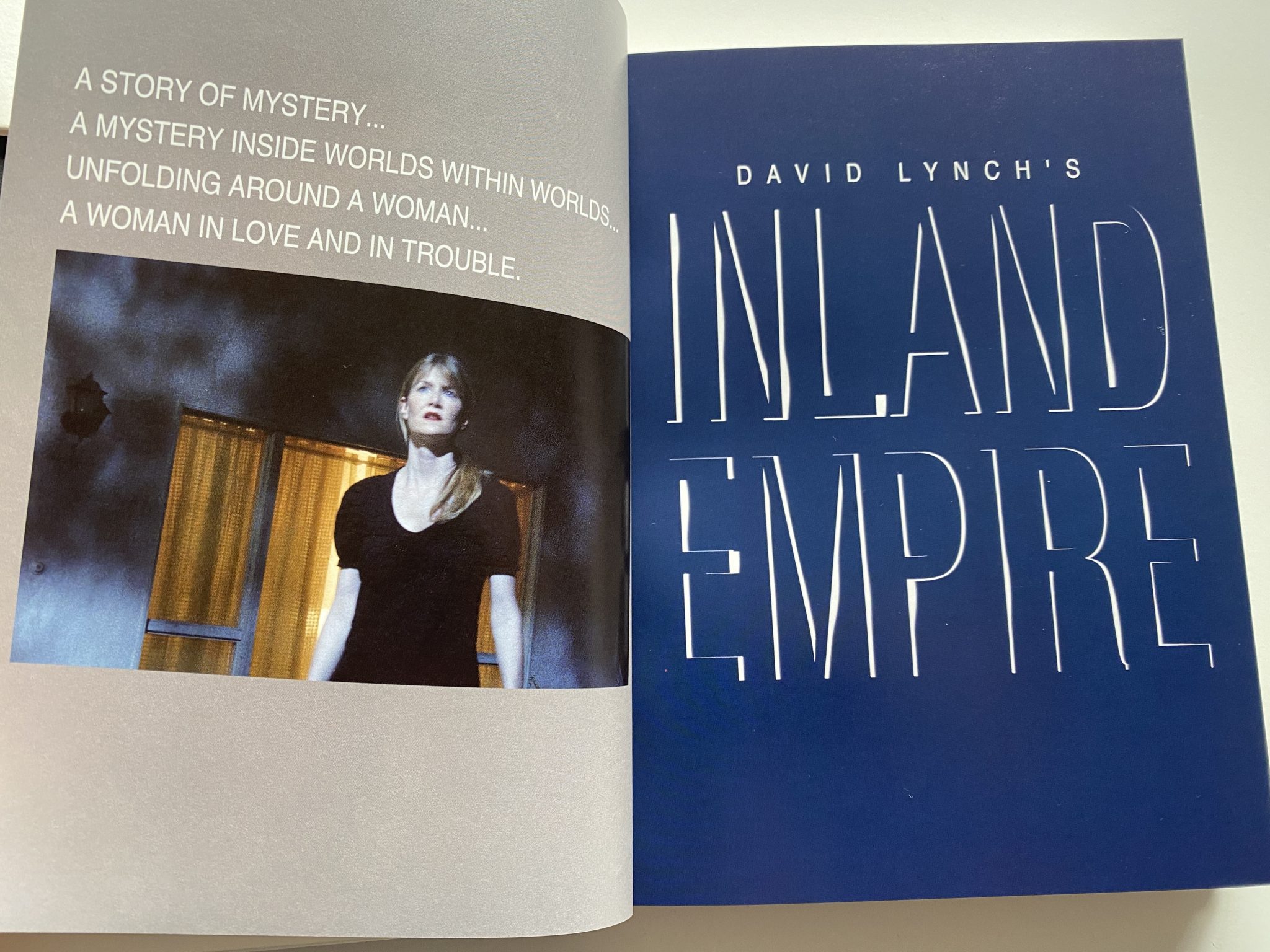 Pack David Lynch Installation en DVD - páginas interiores libro 2