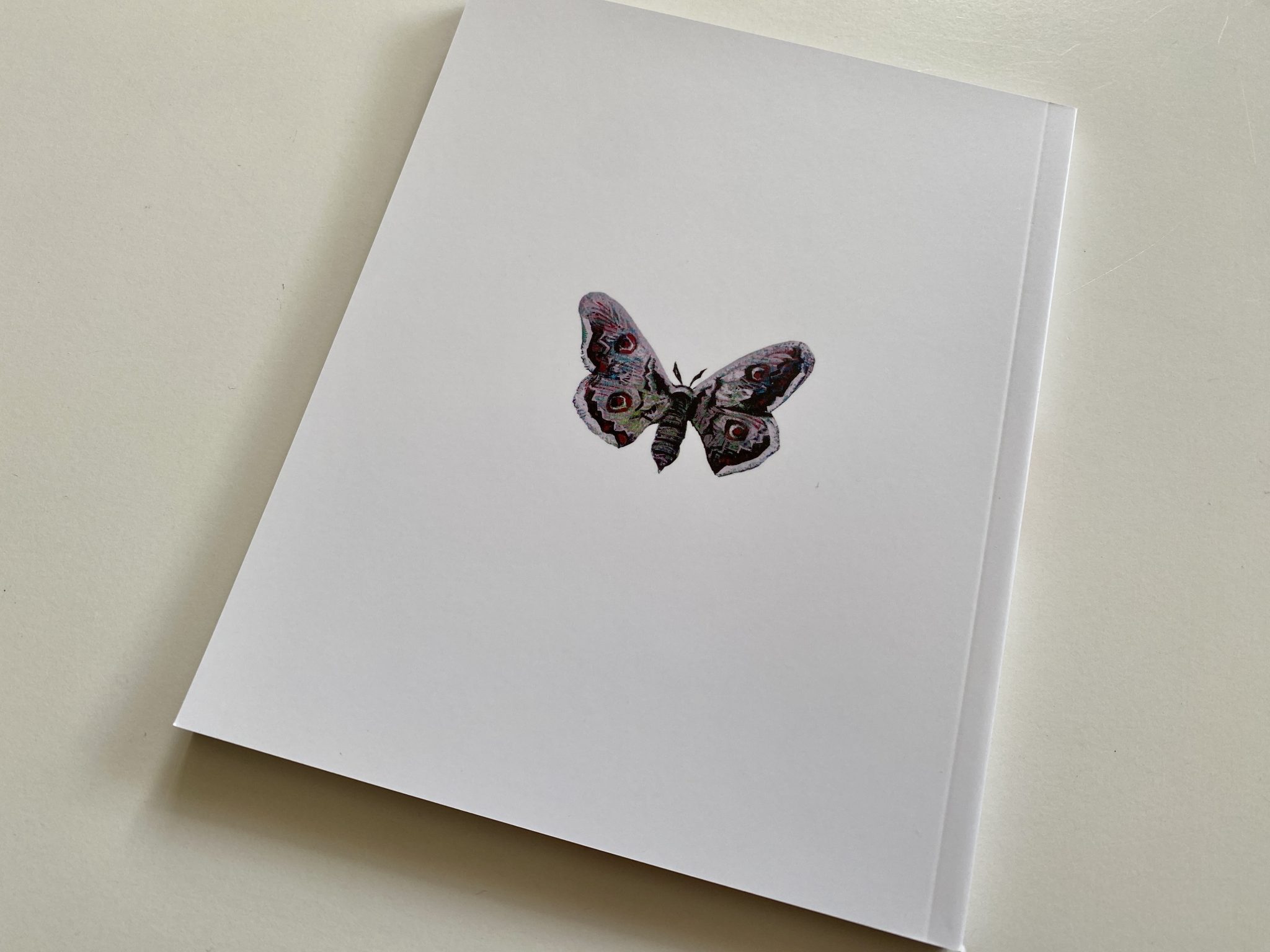 Short Night of the Glass Dolls contraportada libro