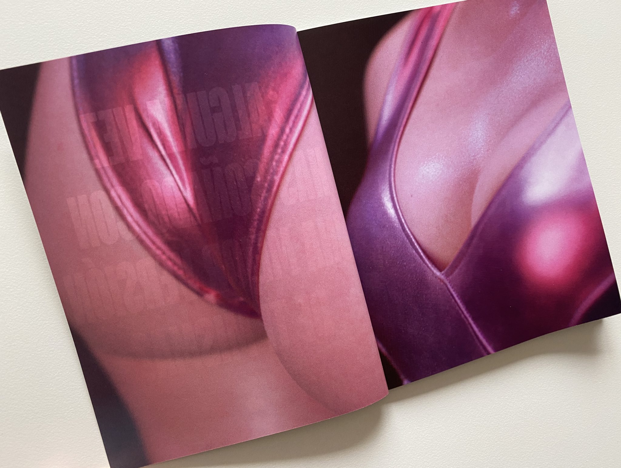 La sustancia Blu-ray Elastica - páginas interiores libreto 1