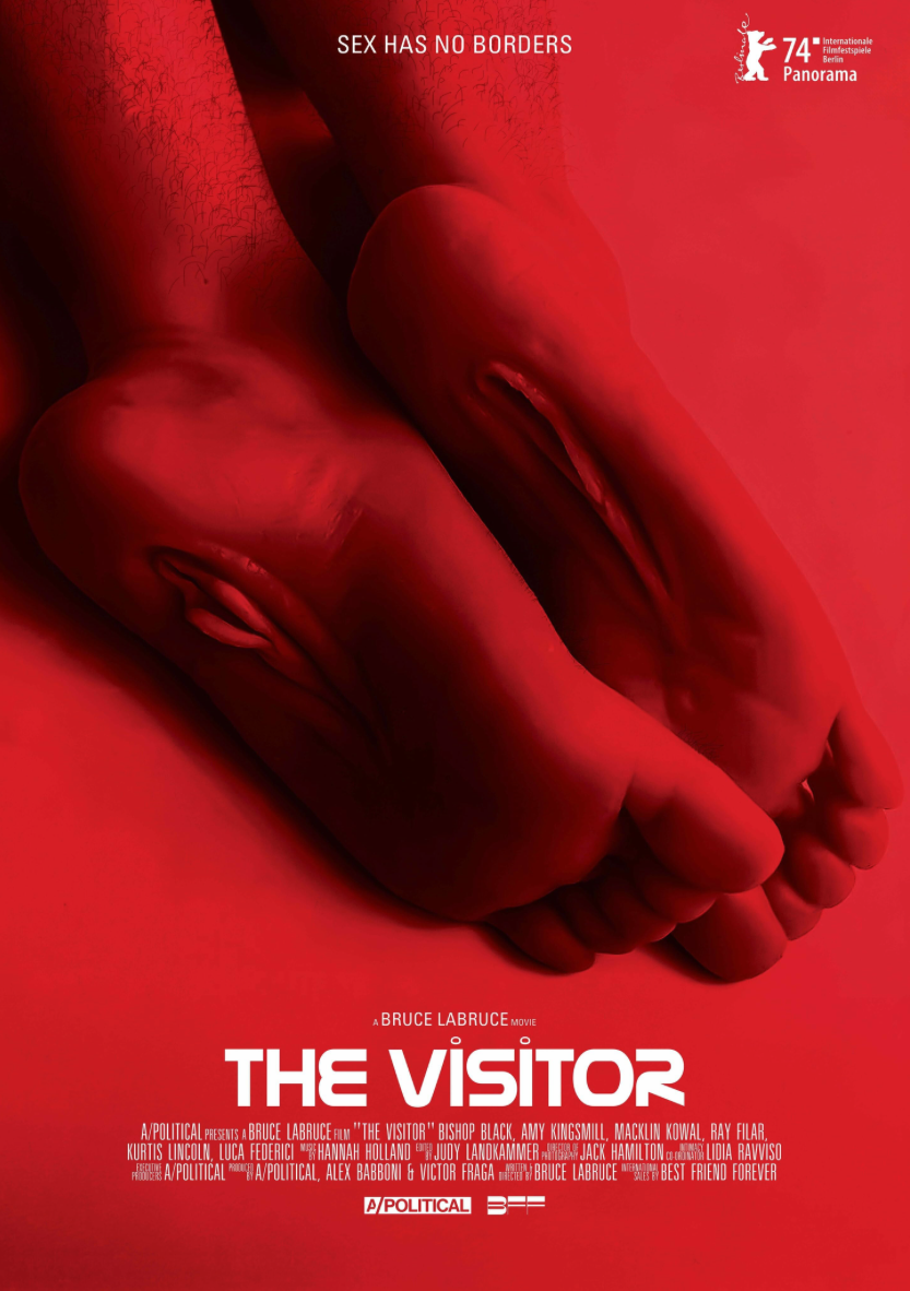 Poster for The Visitor, a Bruce LaBruce film