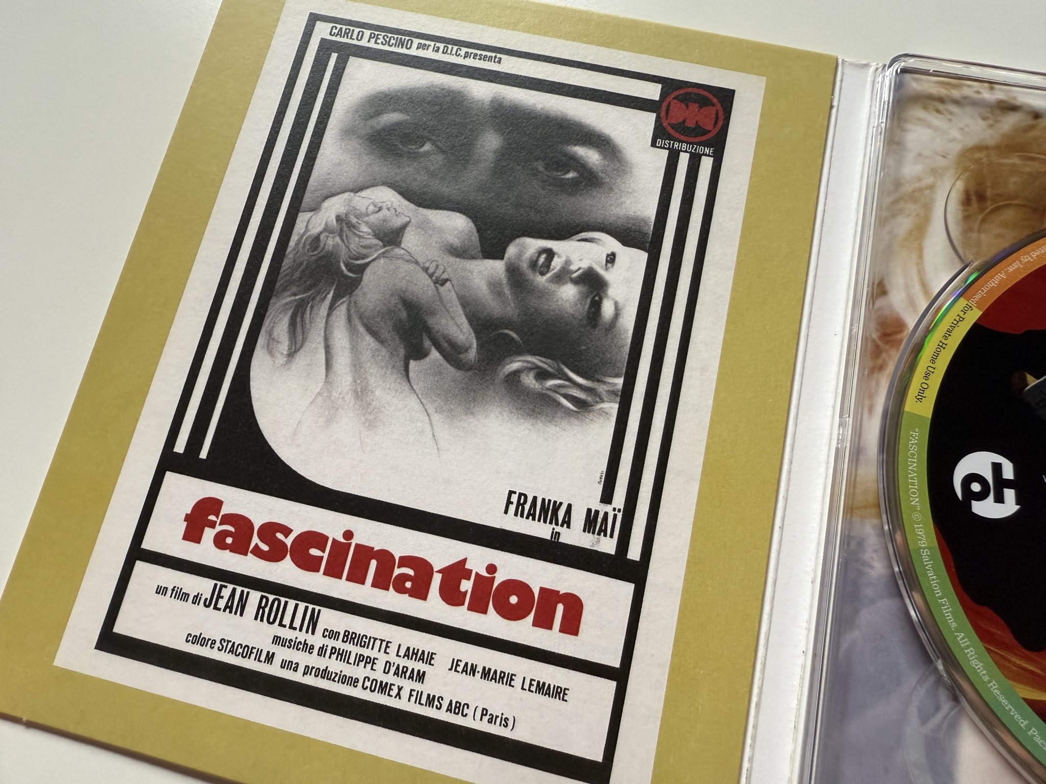 Fascination 4K Ultra HD Indicator - Digipack alternative poster