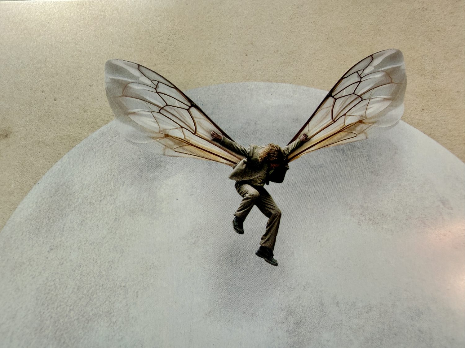 Bugonia Limited Edition Steelbook - Jesse