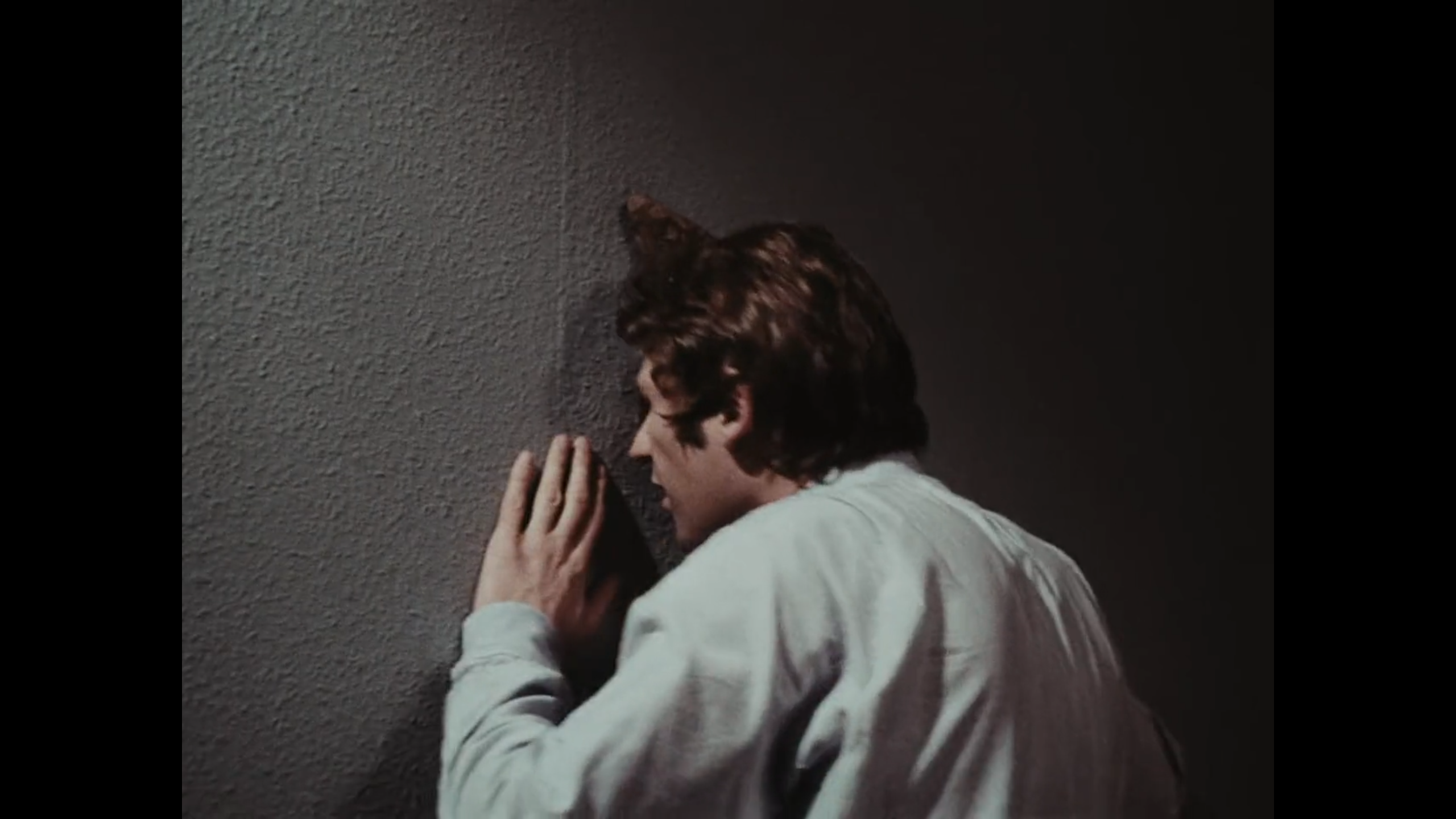 El protagonista mirón de Obsessions, dirigida por Pim de la Parra